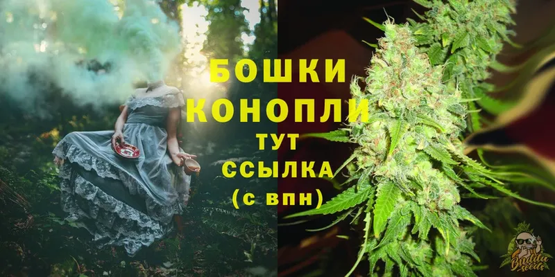 даркнет формула  магазин    Котельники  Бошки марихуана White Widow 